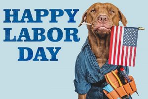 Happy Labor Day with dog holding a US flag